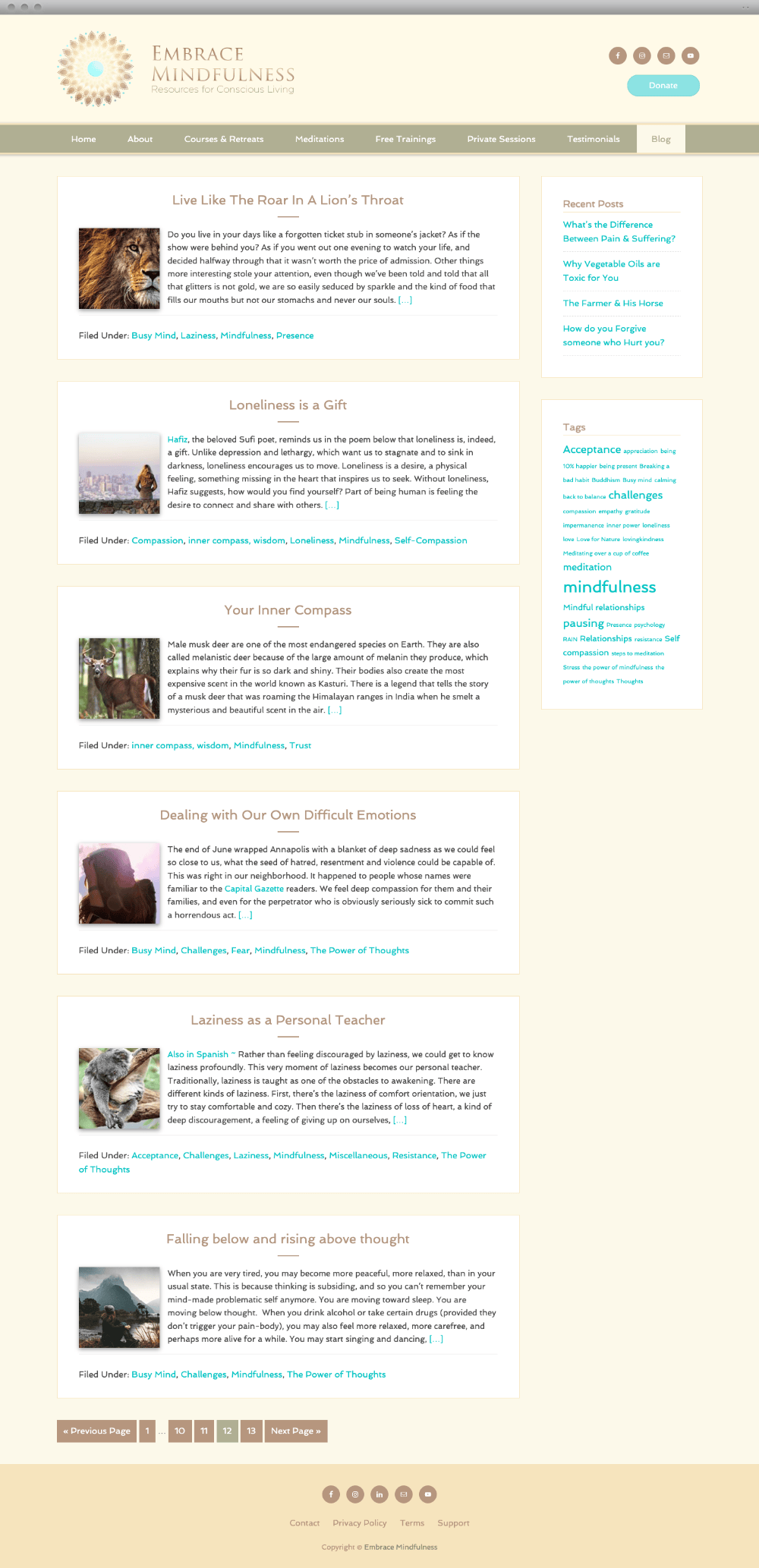 Embrace Mindfulness custom website content page design - Spire Forge