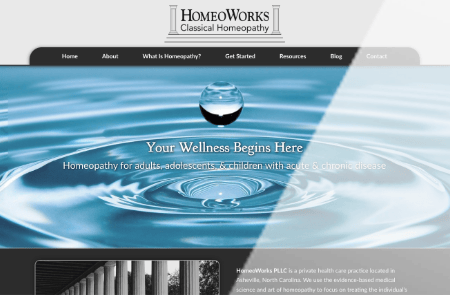HomeoWorks website design thumbnail - Spire Forge